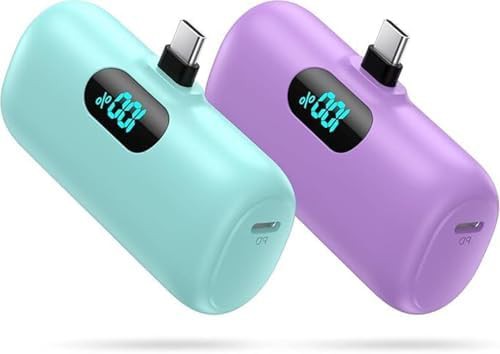 Mini USB-C portable charger two pack